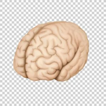 B402 Stock Illustration