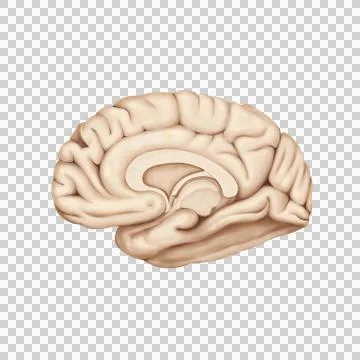 B404 Stock Illustration