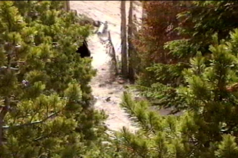 B78 Stock Footage 657941