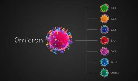 BA.1, BA.2, BA.3, BA.4, BA.5, delta - SARS-CoV-2 Covid-19 coronavirus omicron Stock Illustration