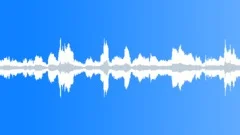 Baaing of a great flock of sheep Sound Effect