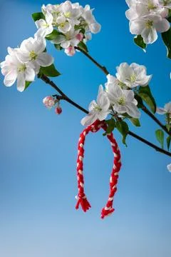 Baba Marta Stock Photos