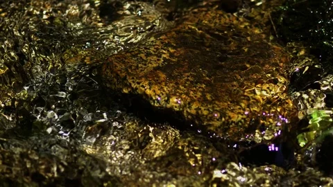 Babbling Brook 04 Slow Motion Stock Footage 71308903