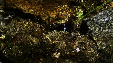 Babbling Brook 05 Slow Motion Stock Footage 71308599