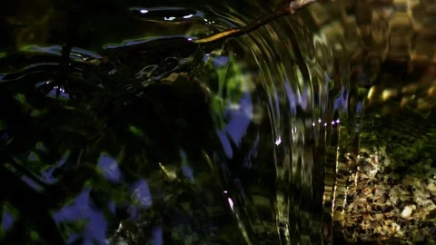 Babbling Brook 06 Slow Motion Stock Footage 71308956