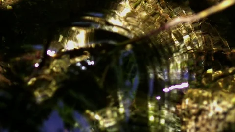 Babbling Brook 07 Slow Motion Stock Footage 71314069