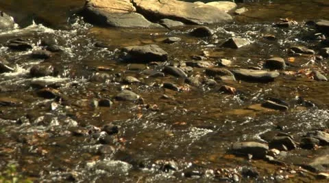 Babbling Brook (1080-24FPS).mp4 Stock Footage 10975490