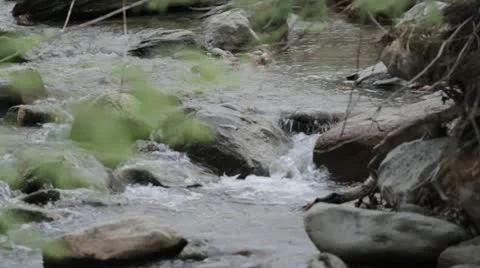 Babbling Brook 3 Video stock 20496189