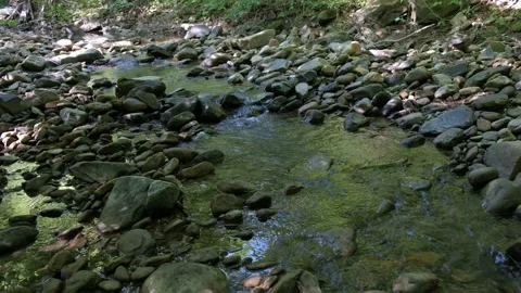 Babbling Brook 4K Stock Footage 155419658