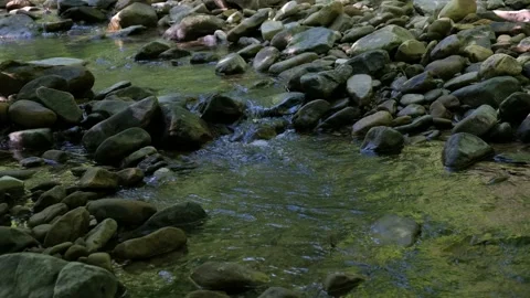 Babbling Brook Close-Up 4K Stock Footage 155419912