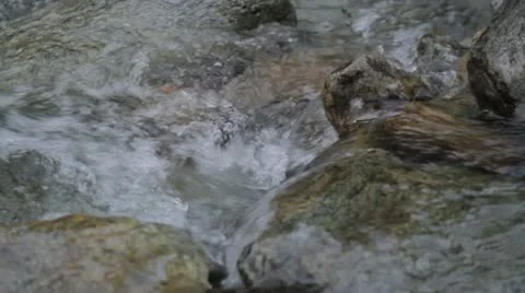Babbling Brook Close Up Video stock 20496214