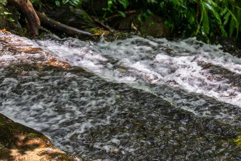 The babbling brook flows over the rocks Stock Photos