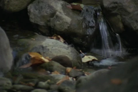 Babbling Brook Stock Footage 151533