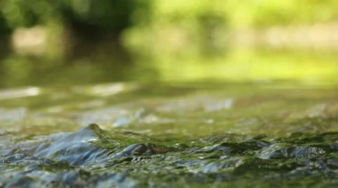 Babbling Brook Video stock 7329920