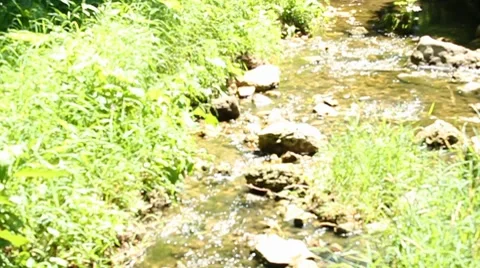 Babbling brook Stock Footage 7754082