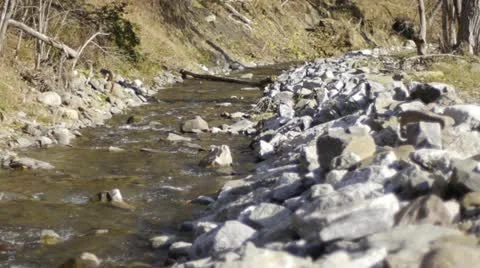 Babbling Brook Stock Footage 22219305