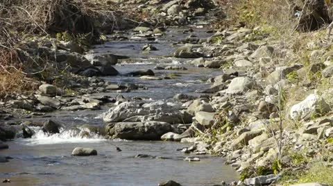 Babbling Brook Stock Footage 22219382