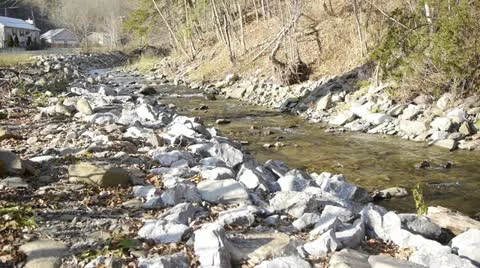 Babbling Brook Stock Footage 22219547
