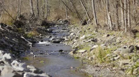 Babbling Brook Stock Footage 22219556