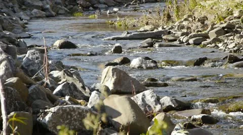 Babbling Brook Stock Footage 22219560