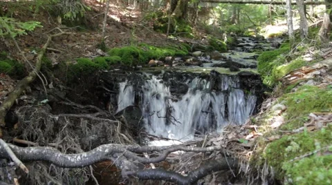 Babbling Brook 스톡 동영상 48341129