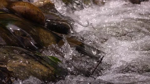 Babbling Brook Video stock 49732907