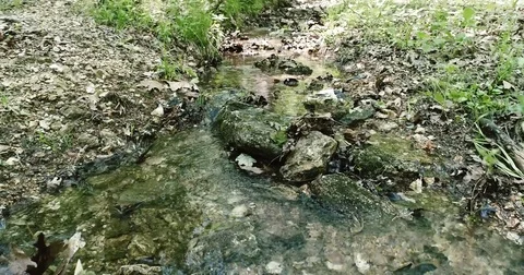 Babbling Brook Stock Footage 75492400