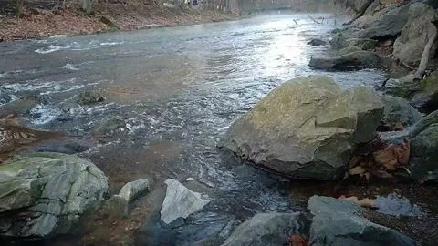 Babbling brook Stock-Footage 144626805