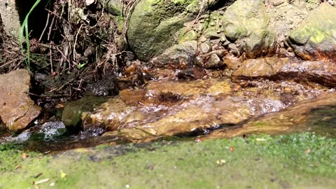 A Babbling Brook Video stock 155068316