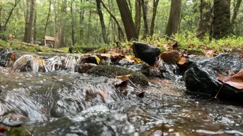 Babbling brook Stock Footage 163905950