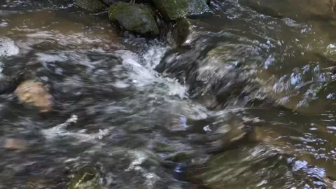 Babbling brook in the forest Vídeos de archivo 135547693