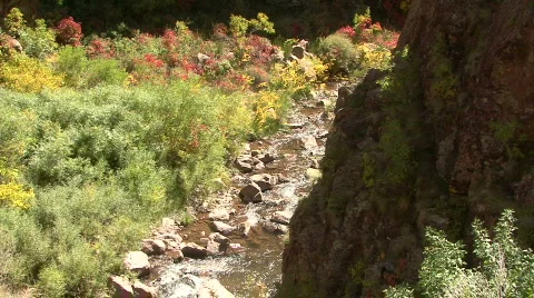 Babbling Brook In The Jemez Mountains Stock Footage 547714