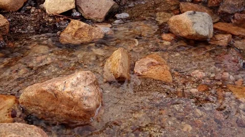 Babbling Brook Mountain Stream Stock Footage 72694446
