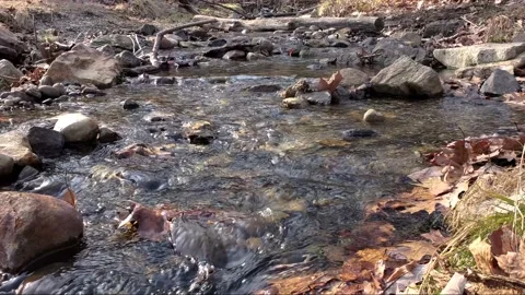 Babbling brook, Mountain stream.  Small river, creek.  Natural water sound Vídeos de archivo 147511062