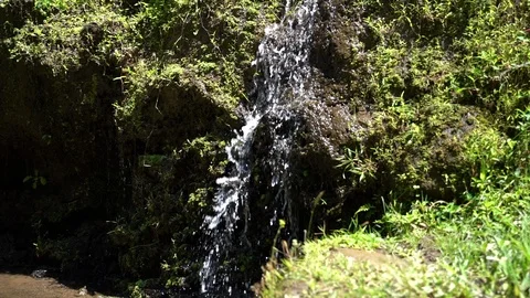 A babbling brook or stream with soaking wet rocks and stepped little waterfalls Video stock 119225294