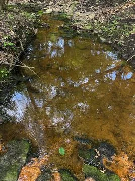 Babbling Brook Stock Photos
