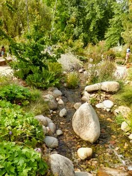 Babbling Brook. Stock Photos