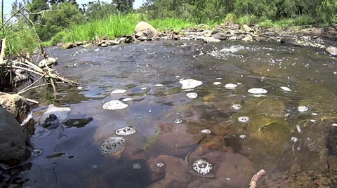 Babbling Brook With Water Flowing Stock Footage 57329778