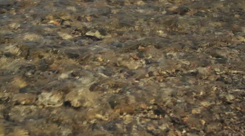 Babbling Brook Water Stock Footage 48841363