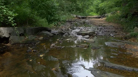 Babbling brook1 centered - 29-97fps - 4K 動画素材 92365841