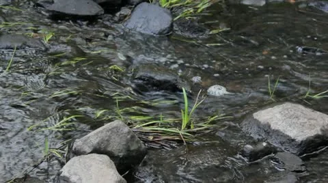 Babbling Brooke Stock Footage 22203436