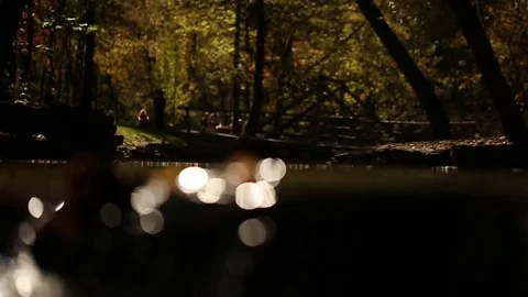 Babbling Creek  Stock Footage 80158966