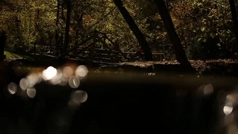 Babbling creek  Vídeos de archivo 80159189