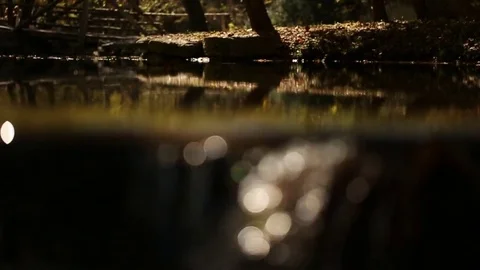 Babbling Creek  Stock Footage 80159209