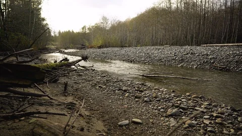 A babbling creek runs through bare trees Stock Footage 123299742