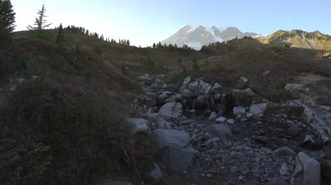 Babbling Mountain Brook with Mount Rainier in the Background Stock Footage 62493359