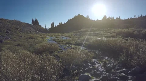 Babbling Mountainside Brook on a Sunny Day Stock Footage 62493367