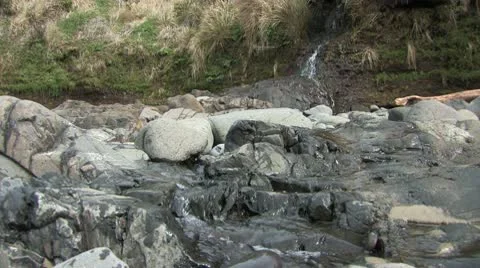 Babbling Stream Stock Footage 9448703