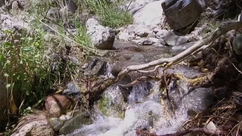 Babbling Stream Stock Footage 199532860