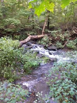 Babblingbrook Foto stock